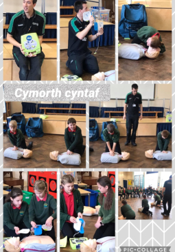 Ysgol O M Edwards
