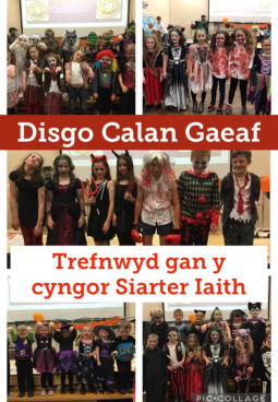 Ysgol O M Edwards