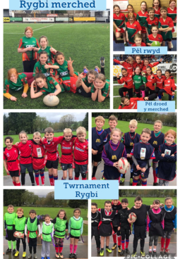 Ysgol O M Edwards
