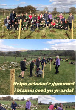 Ysgol O M Edwards