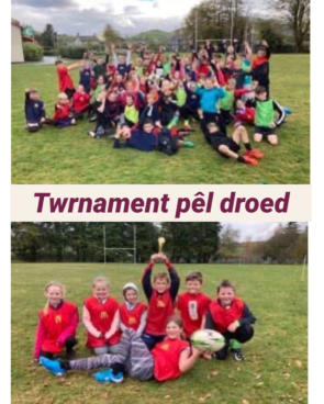 Ysgol O M Edwards